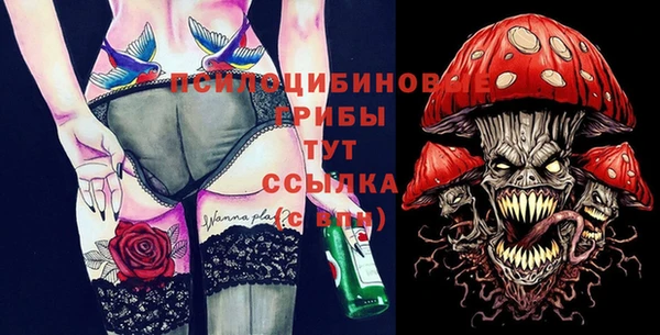 МДПВ Абаза