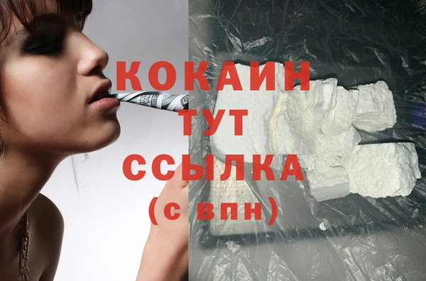 МДПВ Абаза