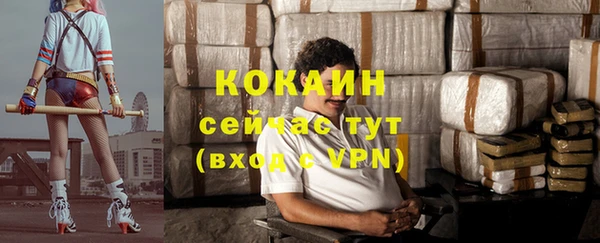мдпв Новодвинск