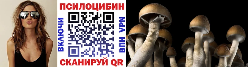где можно купить   Усть-Катав  darknet как зайти  Галлюциногенные грибы GOLDEN TEACHER 